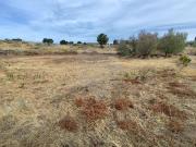 Terreno à venda em Castelo Branco