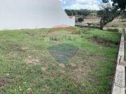 Terreno à venda em Castelo Branco