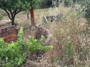 Terreno à venda em Castelo Branco