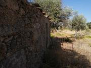 Terreno à venda em Castelo Branco