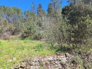 Terreno à venda em Castelo Branco
