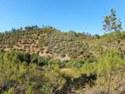 Terreno à venda em Castelo Branco