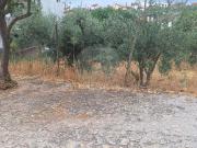 Terreno à venda em Castelo Branco