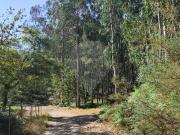 Terreno à venda em Celorico de Basto