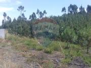 Terreno à venda em Sertã