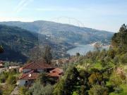 Terreno à venda em Cinfães