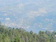 Terreno à venda em Cinfães