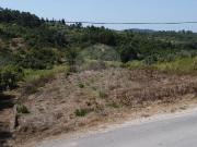 Terreno à venda em Coimbra