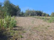 Terreno à venda em Coimbra