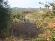 Terreno à venda em Coimbra