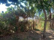 terreno à venda em Colina dos Pinheiros