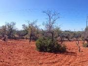 Terreno à venda em Faro