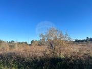 Terreno à venda em Condeixa a Nova