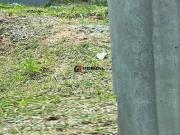 Terreno à venda em Cotia Terra Nobre