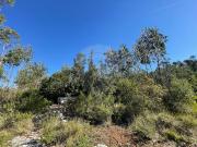 Terreno à venda em Covas