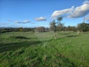 Terreno à venda em Crato