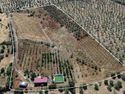 Terreno à venda em Elvas