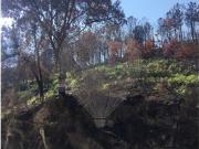 Terreno à venda em Espinho