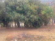 Terreno à Venda em Extrema – MG Bairro Ros. Tem...