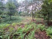 Terreno à venda em Fafe