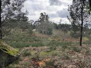 Terreno à venda em Fafe