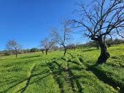 Terreno à venda em Faro