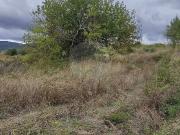Terreno à venda em Covilhã Terreno à venda em Covilhã