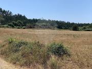 Terreno à venda em Figueira da Foz