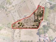 Terreno à venda em Figueiró dos Vinhos