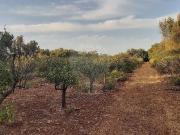 Terreno à venda em Fontainhas