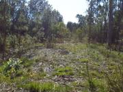 Terreno à venda em Fonte de Angeăo