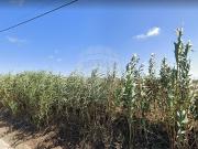 Terreno à venda em Geraldes