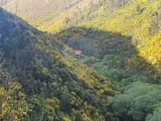 Terreno à venda em Góis