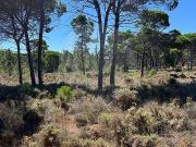 Terreno à venda em Grândola