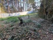 Terreno à venda em Guarulhos