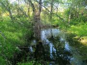 Terreno à venda em Idanha a Nova