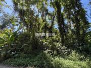 Terreno à venda em Itamambuca, Ubatuba