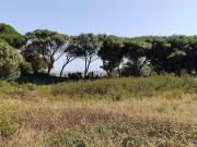 Terreno à venda em Janes Cascais