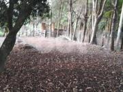 terreno à venda em Jardim Alto de Santa Cruz