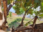 terreno à venda em Jardim Proença