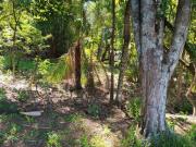 terreno à venda em Joaquim Egídio