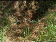 terreno à venda em Joaquim Egídio