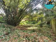 Terreno a venda em Juquehy. 02 terrenos juntos de 450...