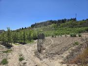 Terreno à venda em Lamego