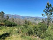Terreno à venda em Lamego