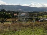 Terreno à venda em Lameira