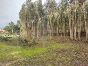 Terreno à venda em Leiria