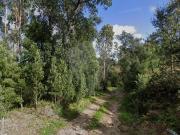 Terreno à venda em Leiria