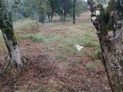 Terreno à venda em Leiria