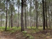 Terreno à venda em Leiria